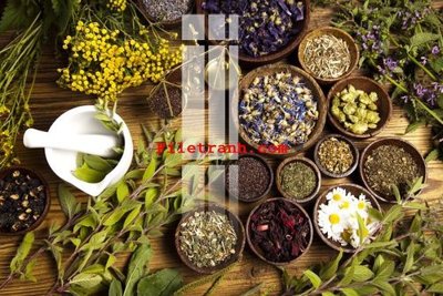 File gốc File gốc in tranh nền tường tổng hợp K64371 (thiết kế) cho in ấn