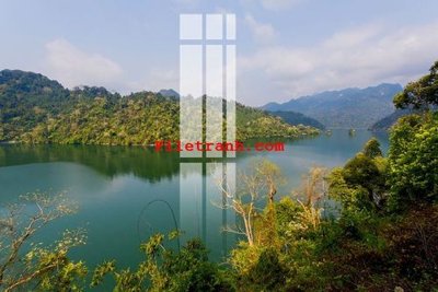 File tranh File gốc in tranh nền tường tổng hợp K64394 (bản gốc) in lụa 3D