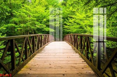 File gốc File gốc in tranh tổng hợp K6443 (PNG) không nền chất lượng