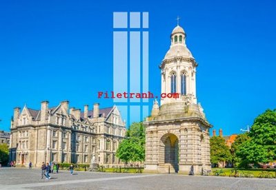 Tải file tranh File gốc in tranh nền tường tổng hợp K64439 (ảnh gốc) ngay