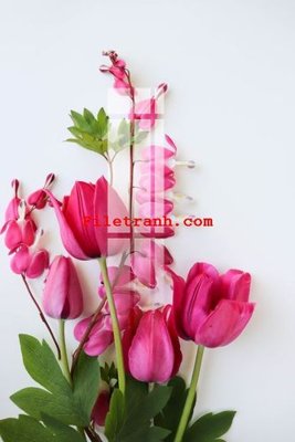 File gốc File gốc in tranh nền tường tổng hợp K64483 (dành cho trang trí nội thất)