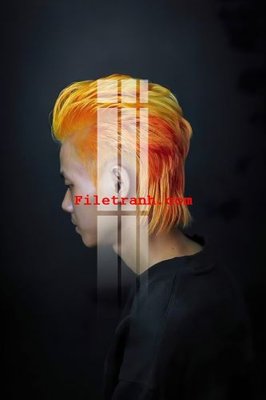 Tải file File gốc in tranh nền tường tổng hợp K64595 (gốc) làm file in ấn