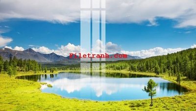 Download file gốc File gốc in tranh nền tường tổng hợp K64865 (in mica) logo