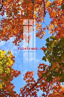 File tranh File gốc in tranh nền tường tổng hợp K65400 (gốc) chủ đề con người