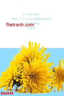 Tải file File gốc in tranh nền tường tổng hợp K66848 (ảnh gốc) file AI/EPS