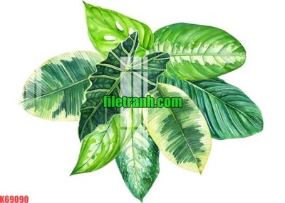 Tải file gốc File gốc in tranh nền tường tổng hợp K69090 (bản PSD) chỉnh sửa được