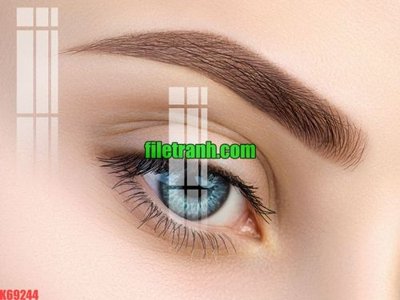 File tranh File gốc in tranh nền tường tổng hợp K69244 (bản gốc) trang trí văn phòng