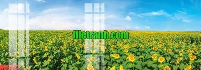 File in trần File gốc in tranh nền tường tổng hợp K69527 (bản gốc) phong cảnh