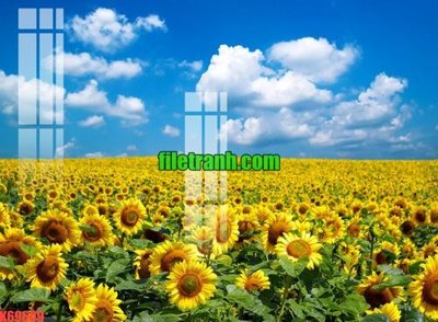 Download file gốc File gốc in tranh nền tường tổng hợp K69609 (in lụa) cao cấp