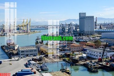 File ảnh File gốc in tranh nền tường tổng hợp K69617 (gốc) in standee