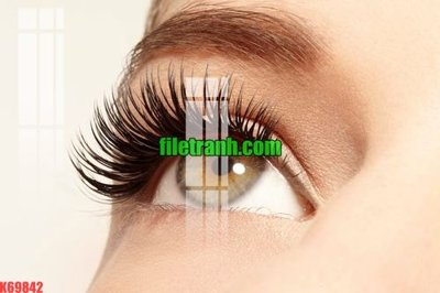 Hình ảnh file gốc File gốc in tranh nền tường tổng hợp K69842 (chất lượng cao)