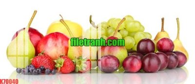 File in trần File gốc in tranh nền tường tổng hợp K70040 (bản gốc) hoa văn