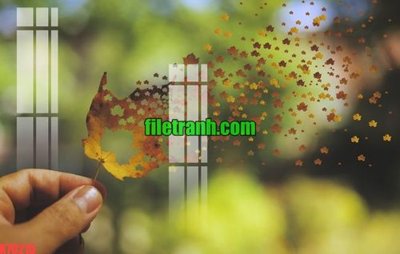 File gốc File gốc in tranh nền tường tổng hợp K70215 (in tráng gương) sang trọng