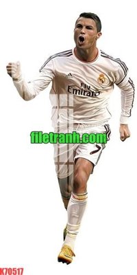 File gốc File gốc in tranh nền tường tổng hợp K70517 (chuẩn màu) cho in offset