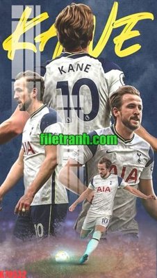 File in trần File gốc in tranh nền tường tổng hợp K70532 (bản gốc 3D) sống động