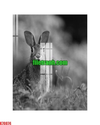 File tranh gốc PSD File gốc in tranh nền tường tổng hợp K70874 còn nguyên layer