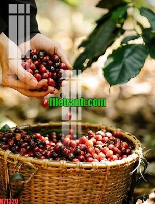 Tải file gốc File gốc in tranh nền tường tổng hợp K71320 (in không vỡ ảnh)