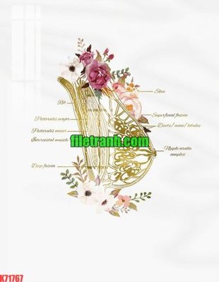 File gốc File gốc in tranh nền tường tổng hợp K71767 (trang trí) phòng làm việc