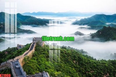 File tranh File gốc in tranh nền tường tổng hợp K71908 (ảnh gốc) in trần nhà