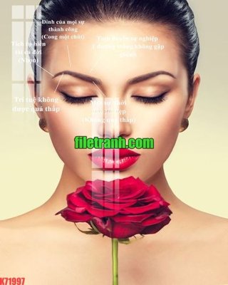 Chi tiết file tranh tráng gương File gốc in tranh nền tường tổng hợp K71997 (ảnh gốc)