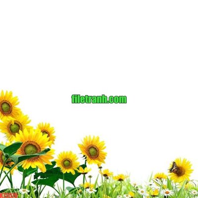 File gốc File gốc in tranh nền tường tổng hợp K72579 (Filetranh.com) File gốc in tranh nền tường tổng hợp K72579