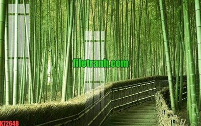 Hình ảnh gốc File gốc in tranh nền tường tổng hợp K72648 (để in khổ lớn)