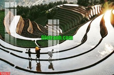 File in trần File gốc in tranh nền tường tổng hợp K72702 (bản gốc) phong cảnh