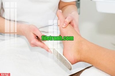 File tranh in tráng gương File gốc in tranh nền tường tổng hợp K73218 (siêu nét)