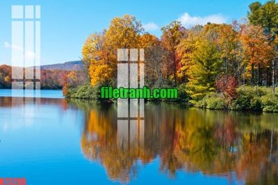 File ảnh File gốc in tranh nền tường tổng hợp K73288 (gốc) in PP, decal