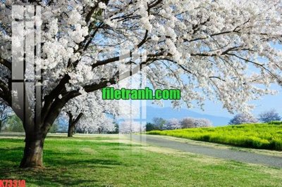 File tranh trang trí File gốc in tranh nền tường tổng hợp K73310 (tải file gốc)