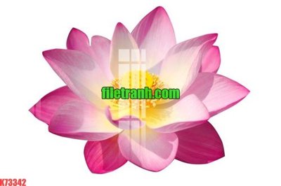 Tải file File gốc in tranh nền tường tổng hợp K73342 (gốc) làm file tranh quảng cáo