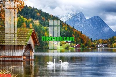 Tải xuống file tranh gốc File gốc in tranh nền tường tổng hợp K73358 (PSD/TIFF)