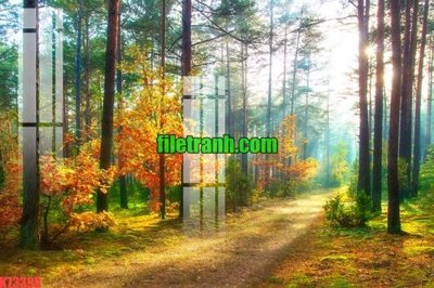 Hình ảnh file gốc in trần nhà File gốc in tranh nền tường tổng hợp K73395