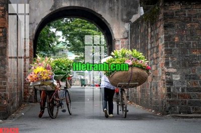 File in trần File gốc in tranh nền tường tổng hợp K73420 (bản gốc) trời sao