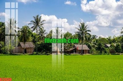 File tranh File gốc in tranh nền tường tổng hợp K73430 (ảnh gốc) in trần nhà