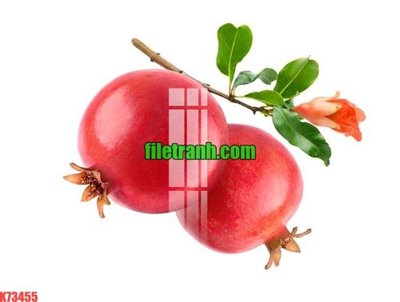 Mua file ảnh gốc File gốc in tranh nền tường tổng hợp K73455 (chất lượng cao)