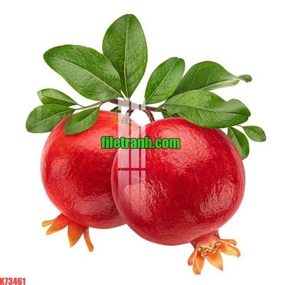 File in trần File gốc in tranh nền tường tổng hợp K73461 (bản gốc) hoa văn