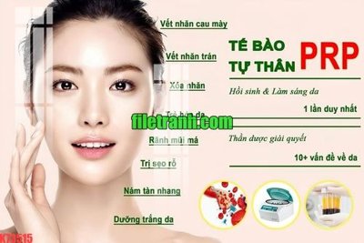 Tải file File gốc in tranh nền tường tổng hợp K73515 (gốc) làm tranh treo tường