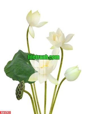 Hình ảnh file gốc File gốc in tranh nền tường tổng hợp K73538 (chất lượng cao)