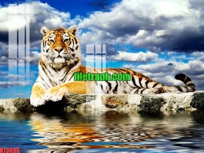 File in trần File gốc in tranh nền tường tổng hợp K73695 (bản gốc) mây trời