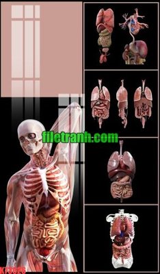 File in trần File gốc in tranh nền tường tổng hợp K73826 (file gốc) hoa văn 3D