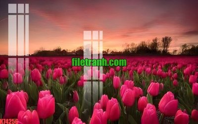 Tải file gốc File gốc in tranh nền tường tổng hợp K74256 (bản PSD) đầy đủ layer