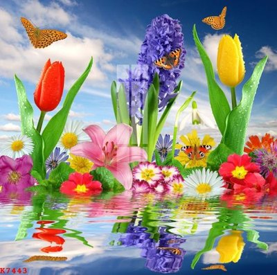 File gốc in mica File gốc in tranh tổng hợp K7443 chất lượng