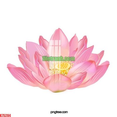 Tải file File gốc in tranh nền tường tổng hợp K75284 (ảnh gốc) file TIFF