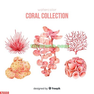 File in trần File gốc in tranh nền tường tổng hợp K75559 (bản gốc) 5D