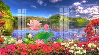 Ảnh gốc File tranh gốc dán tường đẹp K78072 (nét căng) in mica