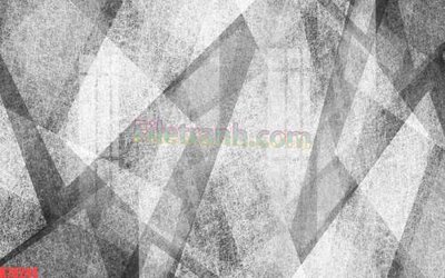 File gốc File tranh gốc dán tường đẹp K78244 (in lụa) họa tiết 3D