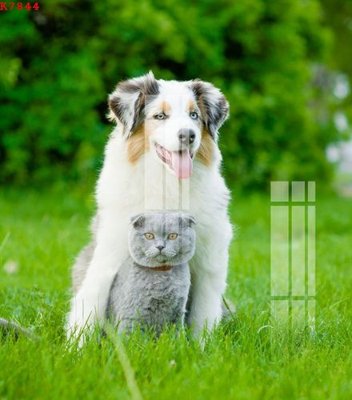 File tranh File gốc in tranh tổng hợp K7844 (gốc) chủ đề thành phố