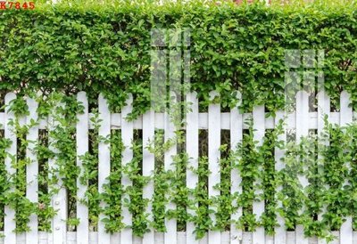 Tải file tranh File gốc in tranh tổng hợp K7845 (ảnh gốc) ngay