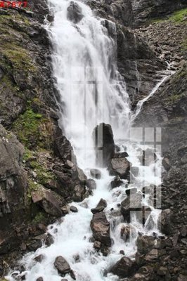 File tranh File gốc in tranh tổng hợp K7877 (bản gốc) in lụa dán tường